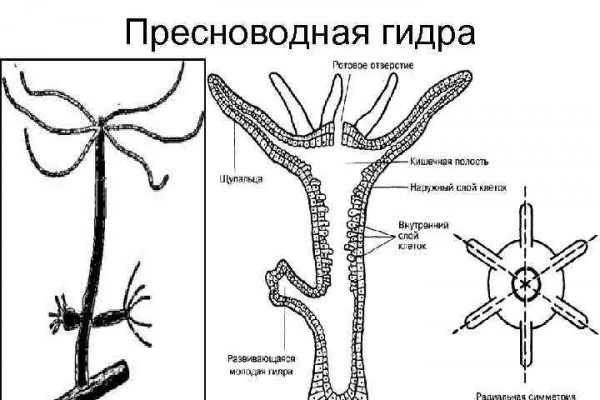 Кракен даркнет тор